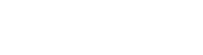 NICHE white logo